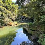 鱷魚巖